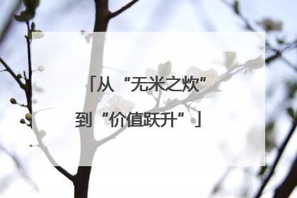 从“无米之炊”到“价值跃升”