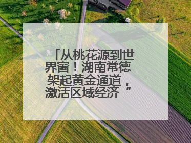 从桃花源到世界窗！湖南常德架起黄金通道，激活区域经济“一池春水”