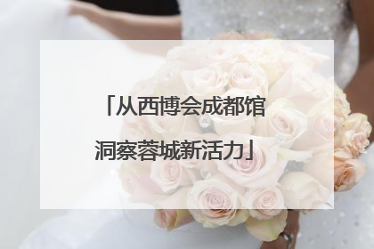 从西博会成都馆洞察蓉城新活力