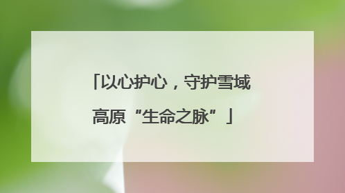 以心护心，守护雪域高原“生命之脉”