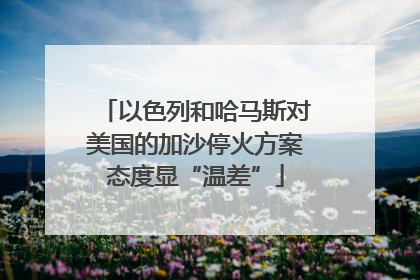 以色列和哈马斯对美国的加沙停火方案态度显“温差”