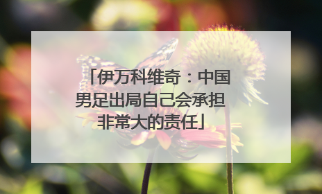 伊万科维奇：中国男足出局自己会承担非常大的责任