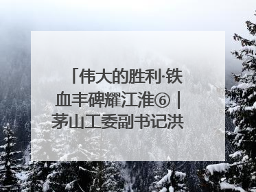 伟大的胜利·铁血丰碑耀江淮⑥｜茅山工委副书记洪天诚的亲笔信