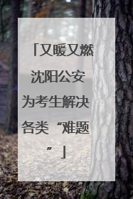 又暖又燃 沈阳公安为考生解决各类“难题”