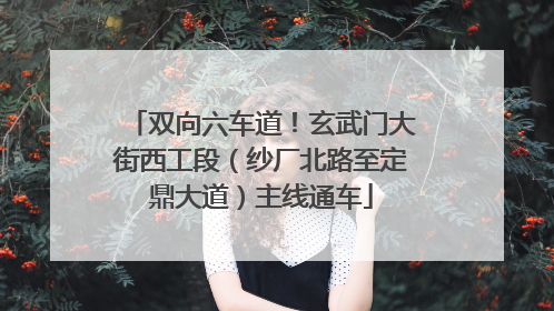 双向六车道！玄武门大街西工段（纱厂北路至定鼎大道）主线通车