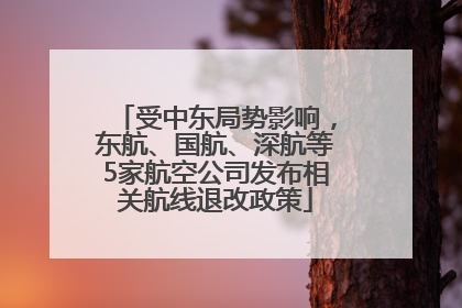 受中东局势影响，东航、国航、深航等5家航空公司发布相关航线退改政策