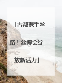 古都携手丝路！丝博会绽放新活力