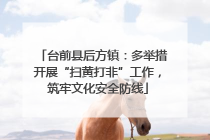 台前县后方镇：多举措开展“扫黄打非”工作，筑牢文化安全防线