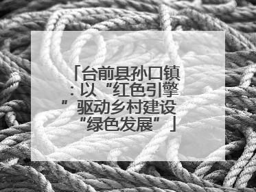 台前县孙口镇：以“红色引擎”驱动乡村建设“绿色发展”