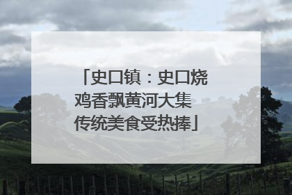 史口镇：史口烧鸡香飘黄河大集 传统美食受热捧