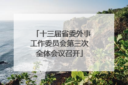 十三届省委外事工作委员会第三次全体会议召开