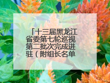 十三届黑龙江省委第七轮巡视第二批次完成进驻（附组长名单、联系方式）
