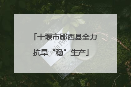 十堰市郧西县全力抗旱“稳”生产
