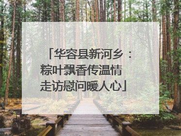 华容县新河乡：粽叶飘香传温情 走访慰问暖人心