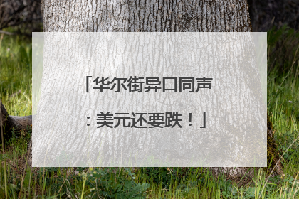 华尔街异口同声：美元还要跌！