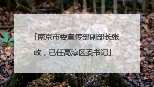 南京市委宣传部副部长张政，已任高淳区委书记