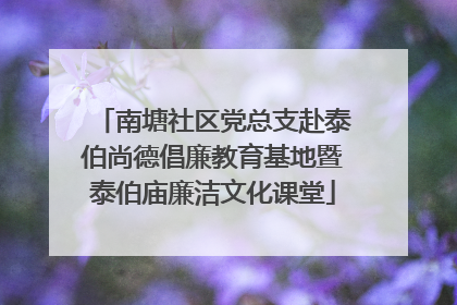 南塘社区党总支赴泰伯尚德倡廉教育基地暨泰伯庙廉洁文化课堂