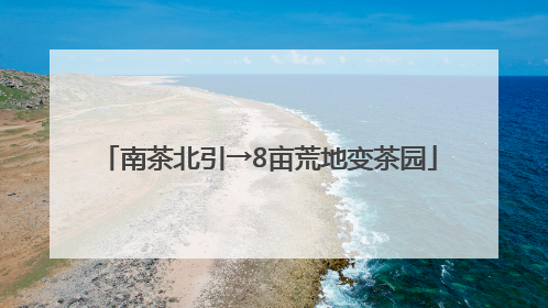南茶北引→8亩荒地变茶园