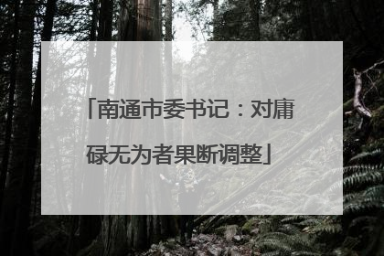 南通市委书记：对庸碌无为者果断调整