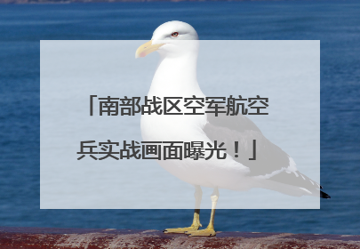 南部战区空军航空兵实战画面曝光！