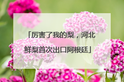 厉害了我的梨，河北鲜梨首次出口阿根廷