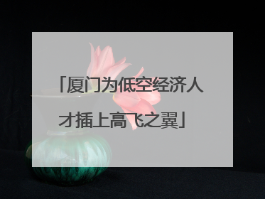 厦门为低空经济人才插上高飞之翼