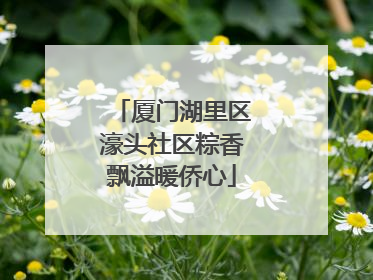 厦门湖里区濠头社区粽香飘溢暖侨心