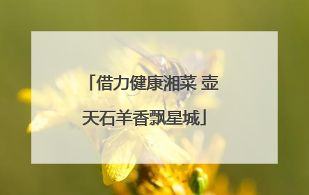 借力健康湘菜 壶天石羊香飘星城