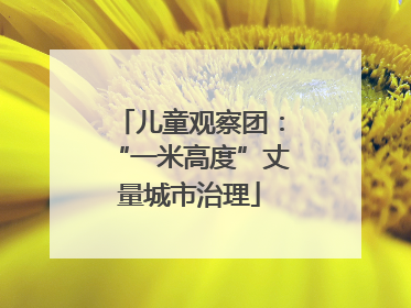 儿童观察团：“一米高度”丈量城市治理