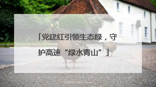 党建红引领生态绿，守护高速“绿水青山”