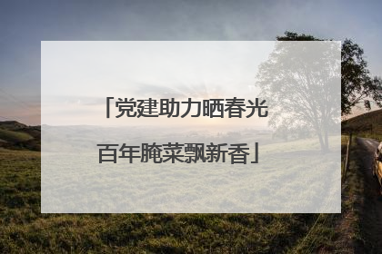 党建助力晒春光 百年腌菜飘新香