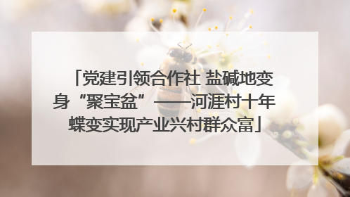 党建引领合作社 盐碱地变身“聚宝盆”——河涯村十年蝶变实现产业兴村群众富