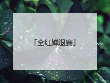 全红婵退赛