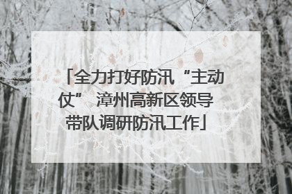 全力打好防汛“主动仗” 漳州高新区领导带队调研防汛工作