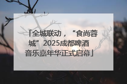 全城联动，“食尚蓉城”2025成都啤酒音乐嘉年华正式启幕