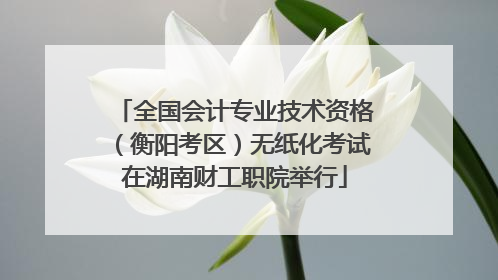 全国会计专业技术资格（衡阳考区）无纸化考试在湖南财工职院举行