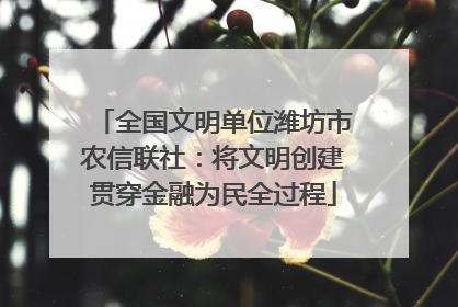 全国文明单位潍坊市农信联社：将文明创建贯穿金融为民全过程