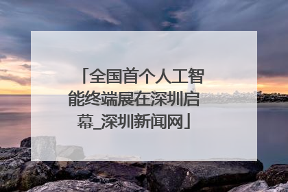 全国首个人工智能终端展在深圳启幕_深圳新闻网