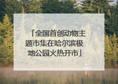 全国首创动物主题市集在哈尔滨极地公园火热开市