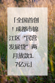 全国首创！成都市锦江区“民营发展贷”两月放款1.7亿元