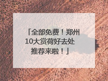 全部免费！郑州10大赏荷好去处推荐来啦！
