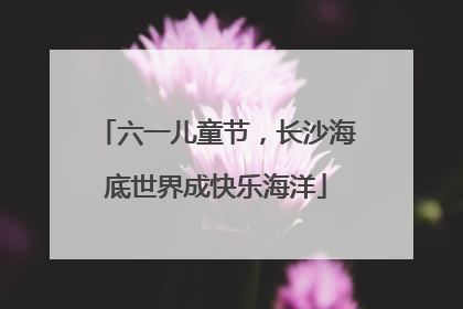 六一儿童节，长沙海底世界成快乐海洋