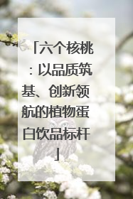 六个核桃：以品质筑基、创新领航的植物蛋白饮品标杆