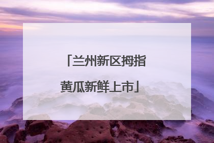 兰州新区拇指黄瓜新鲜上市