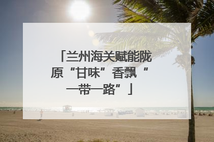 兰州海关赋能陇原“甘味”香飘“一带一路”