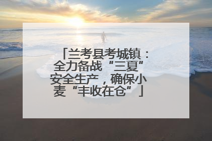 兰考县考城镇：全力备战“三夏”安全生产，确保小麦“丰收在仓”