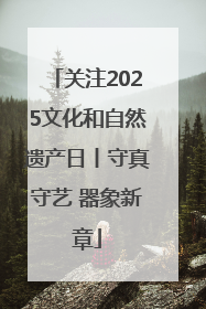 关注2025文化和自然遗产日丨守真守艺 器象新章
