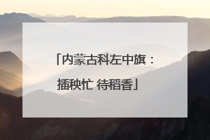 内蒙古科左中旗：插秧忙 待稻香