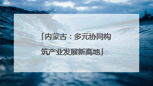 内蒙古：多元协同构筑产业发展新高地