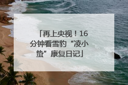再上央视！16分钟看雪豹“凌小蛰”康复日记